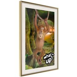 Arkiio Affisch What's Up [Poster] 20x30 Poster